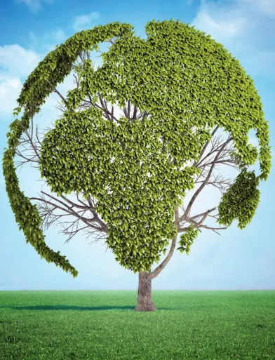 Best Sustainable Bag Manufacturer in UAE – Green Bags